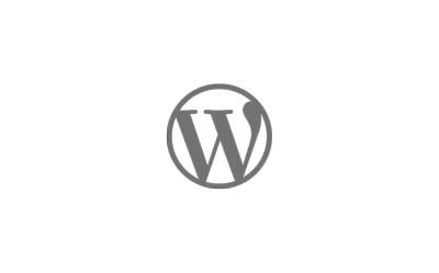 WordPress Theme & Plugin Development